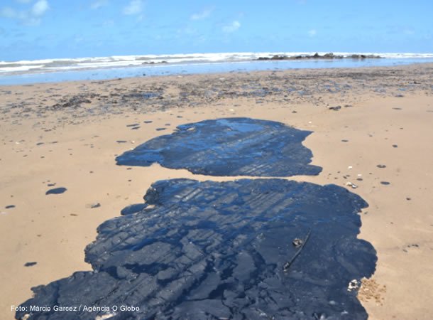 Cientistas desenvolvem projetos para reaproveitar o óleo que está poluindo o litoral do Nordeste