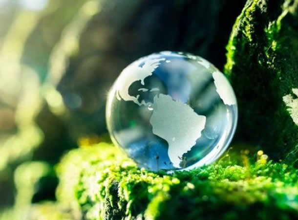 Sustentabilidade e Inovação: questão de competitividade