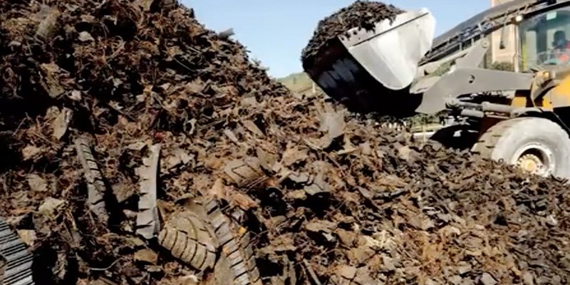 Dia Mundial do Meio Ambiente