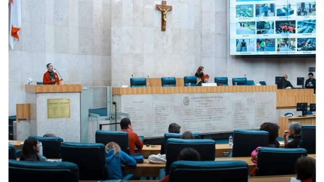 Câmara de Vereadores de SP ouve especialistas e conhece programas de reestruturação de passeios públicos