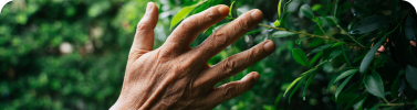 SUSTENTABILIDADE